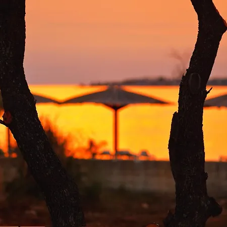 Zatonka Royal فيلة زاتون